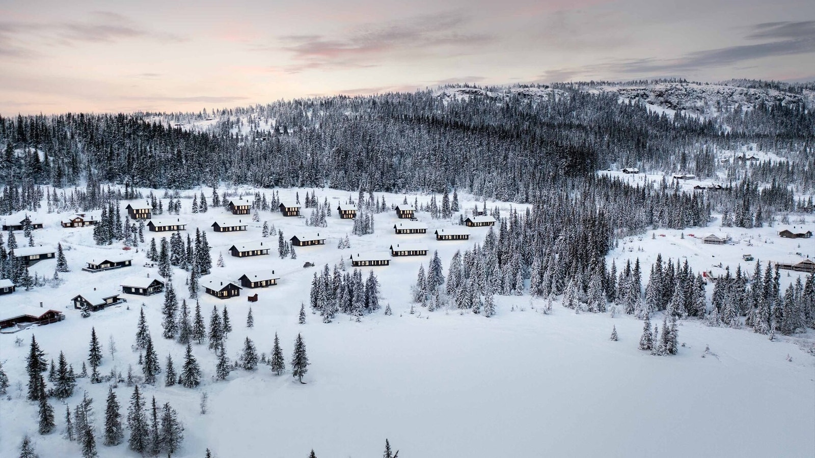 Illustrasjon Svarttjønnlia Galleribilde