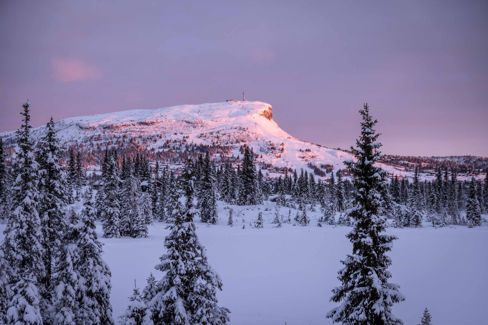 Flott utsikt mot Skeikampen fra tomtefeltet Galleribilde