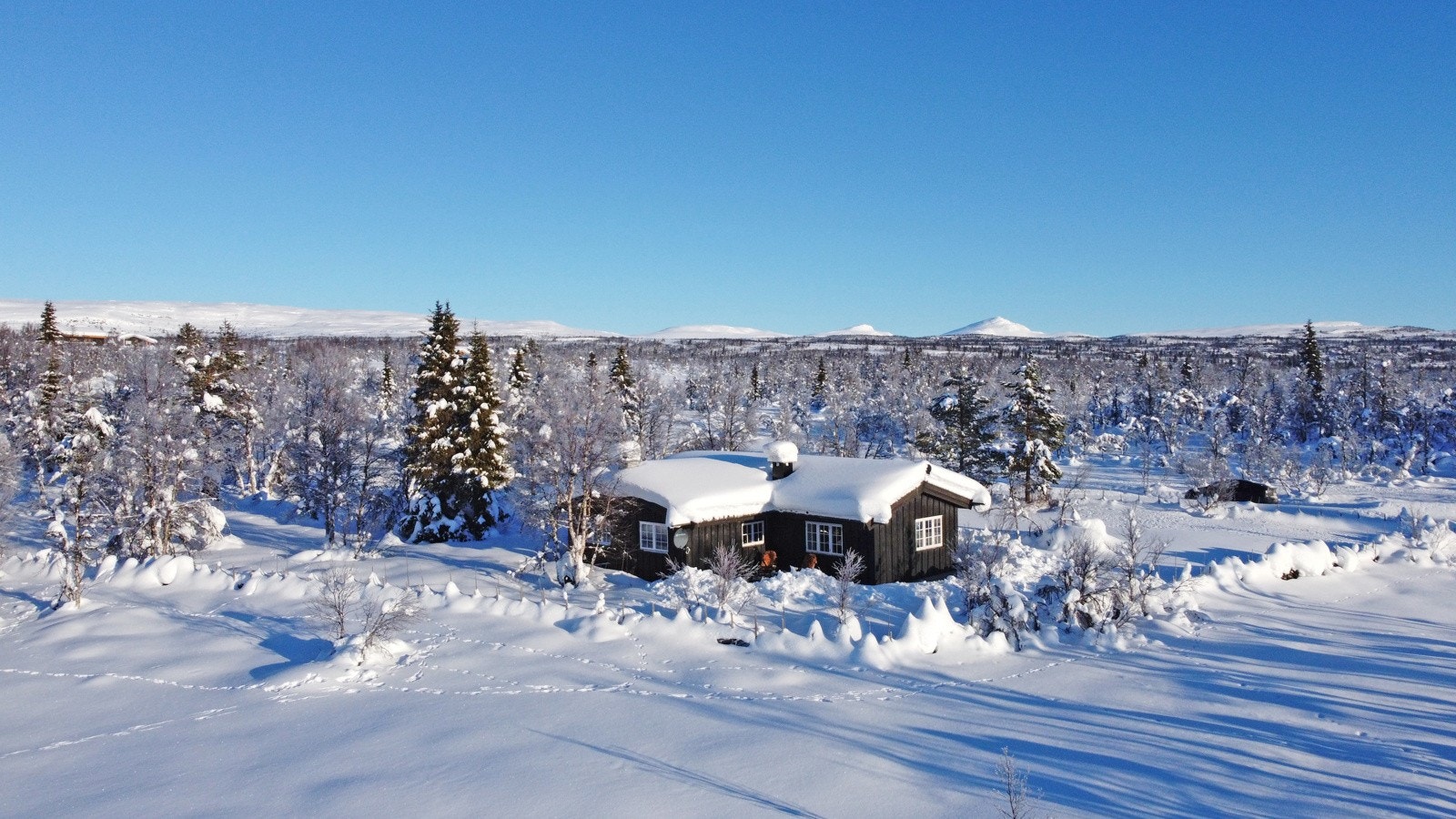 Det er mange fine turmuligheter i naturskjønne omgivelser sommer som vinter med utgangspunkt fra hytta Galleribilde