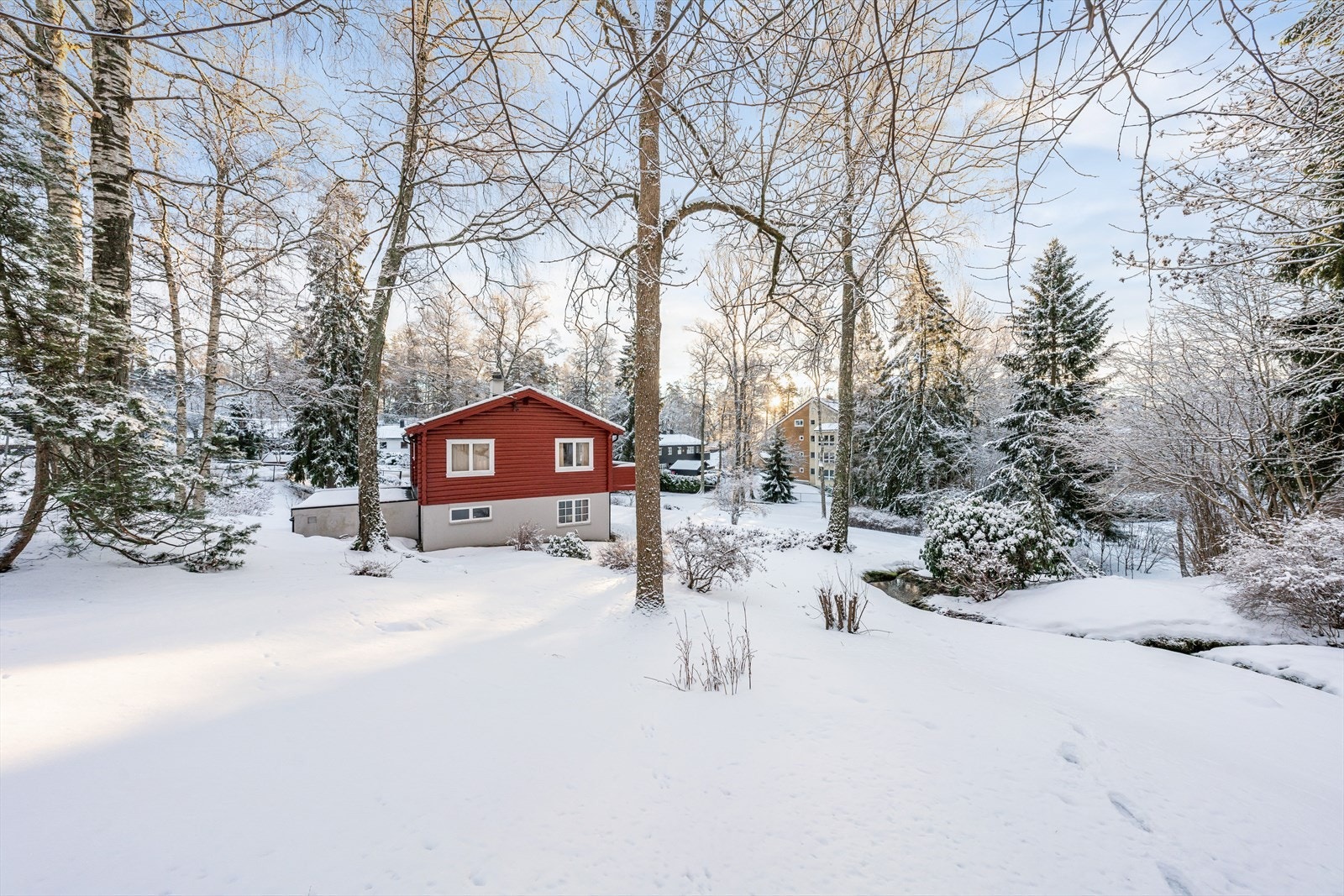 Mange høye trær, bekk og dam. Galleribilde