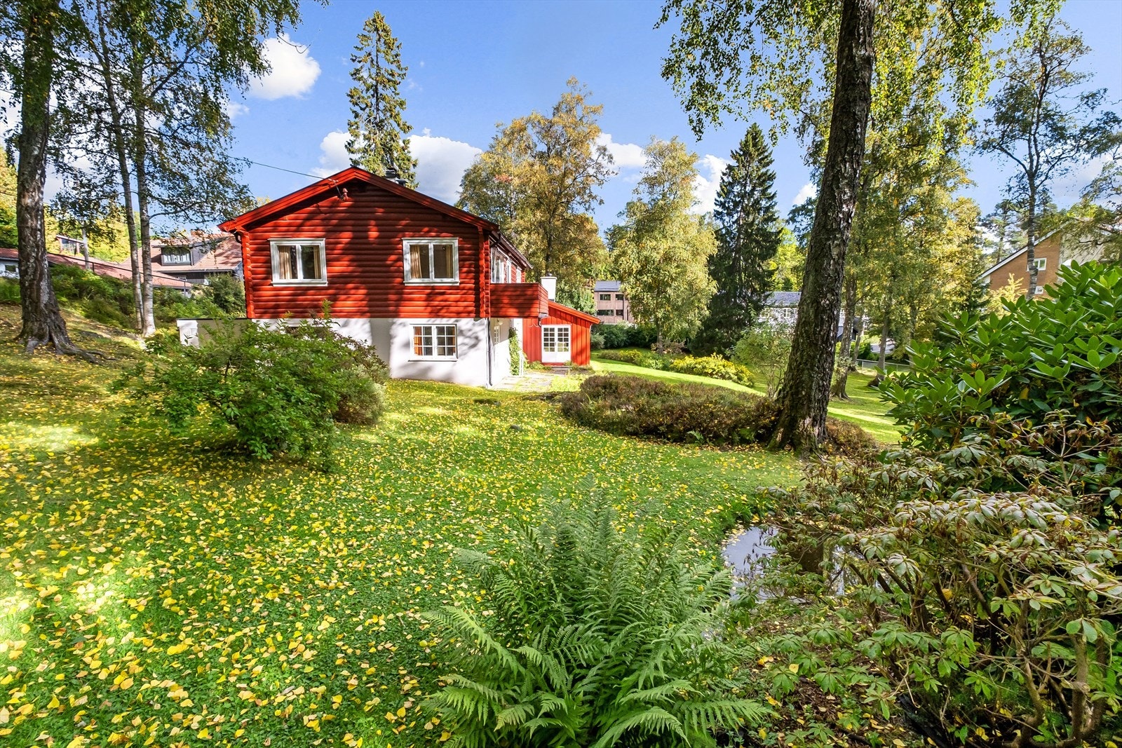 Sommerbilde nr. 3 Galleribilde