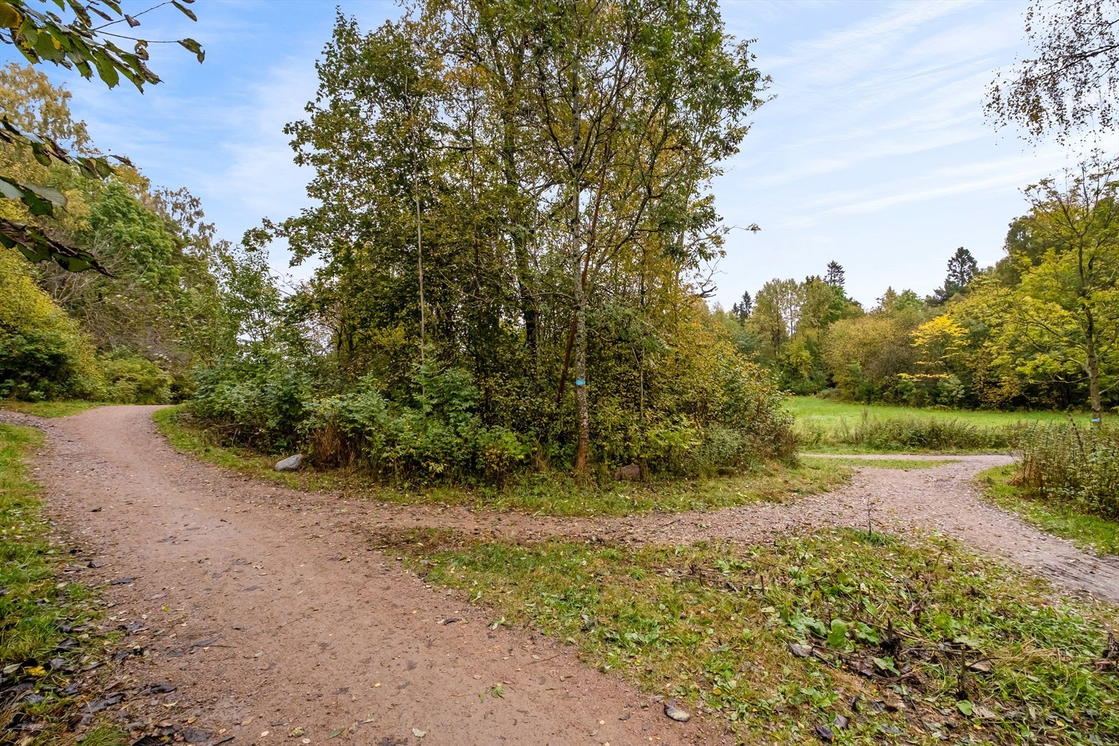 Områdebilde tatt fra Risbekkveien, hvor det finnes en rekke turmuligheter. Galleribilde