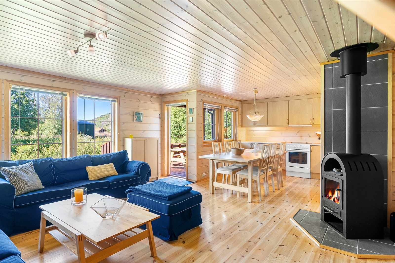 Fin stue med utgang til terrasse Galleribilde