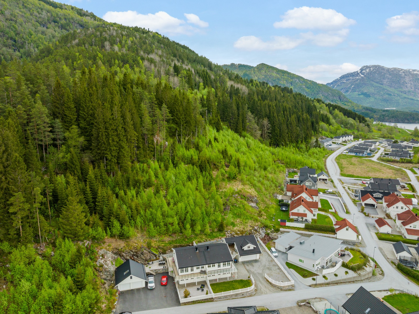 Tomtene i vest Galleribilde