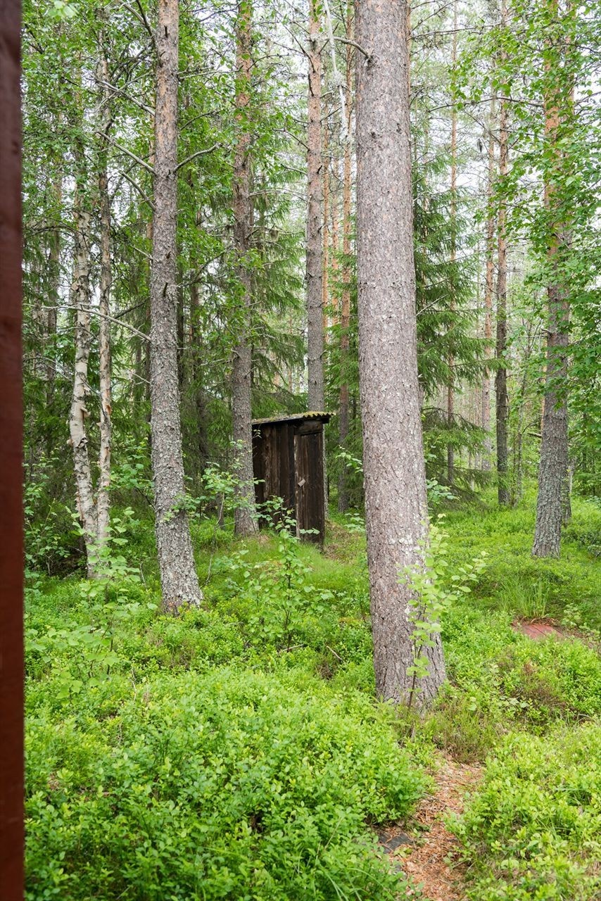 Fra tunet går en liten sti bort til utedoen Galleribilde