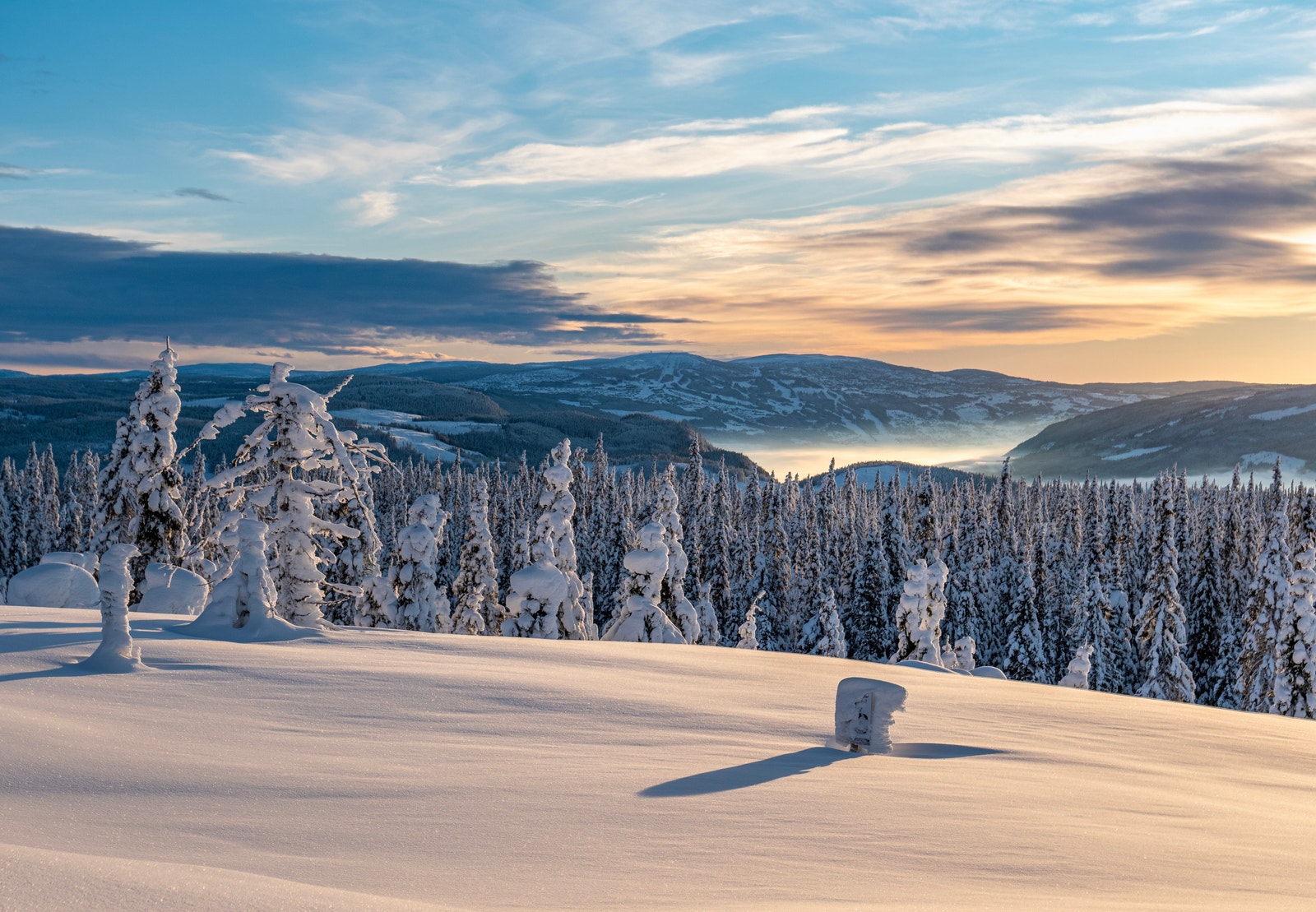 Tomt 73 - Tomtepinne i forgrunnen. Galleribilde