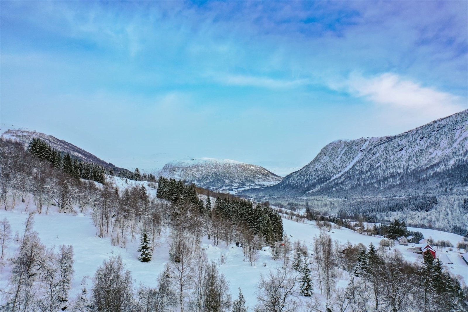 Utsikten fra Hagamyra mot Bjørndalskamben. Galleribilde