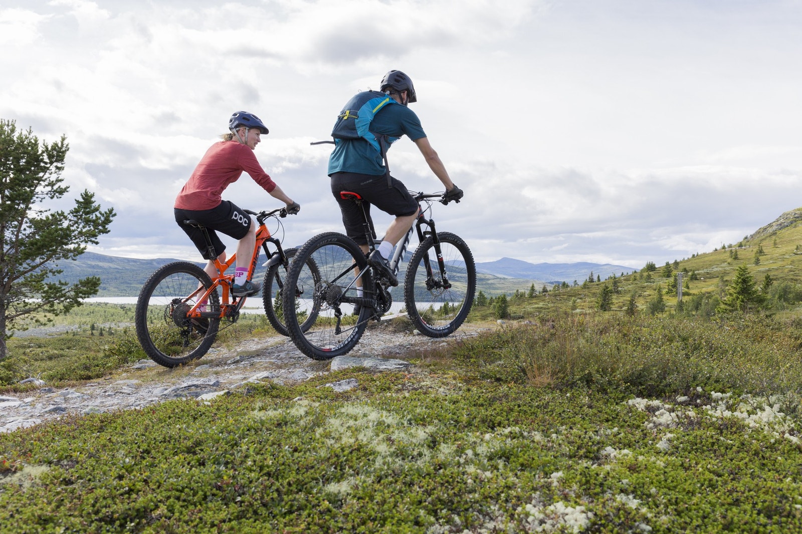 Det finnes mange sykkelstier på Venabygdsfjellet Galleribilde