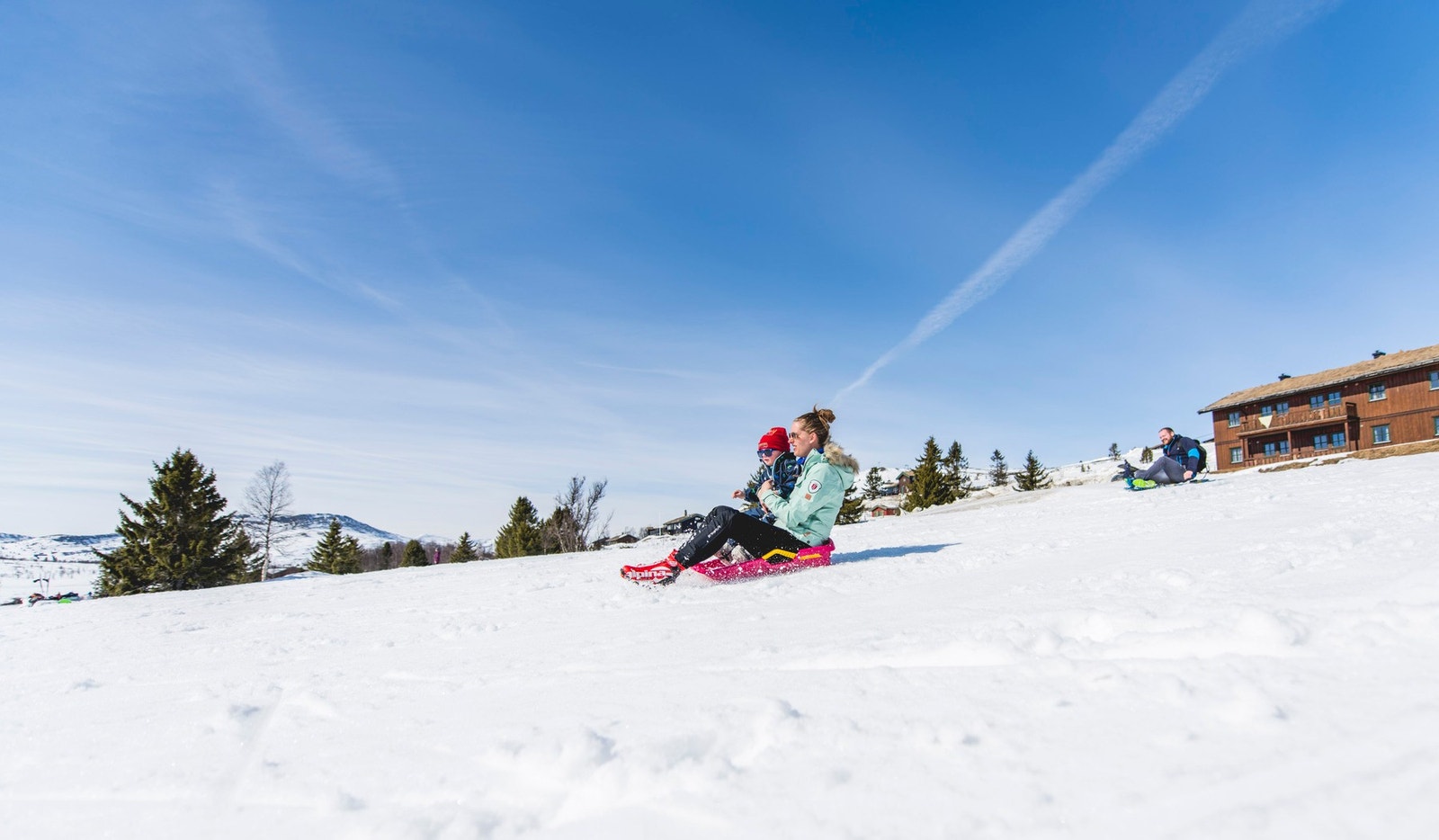 Fra Spidsbergseter Galleribilde