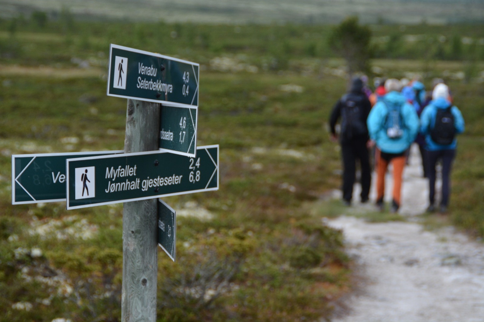 Mange flotte merkede stier innover fjellet Galleribilde