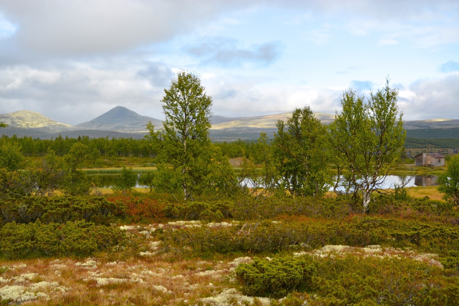 Utsikt mot Muen, som er 1424moh, er en flott tur både sommer som vinter Galleribilde