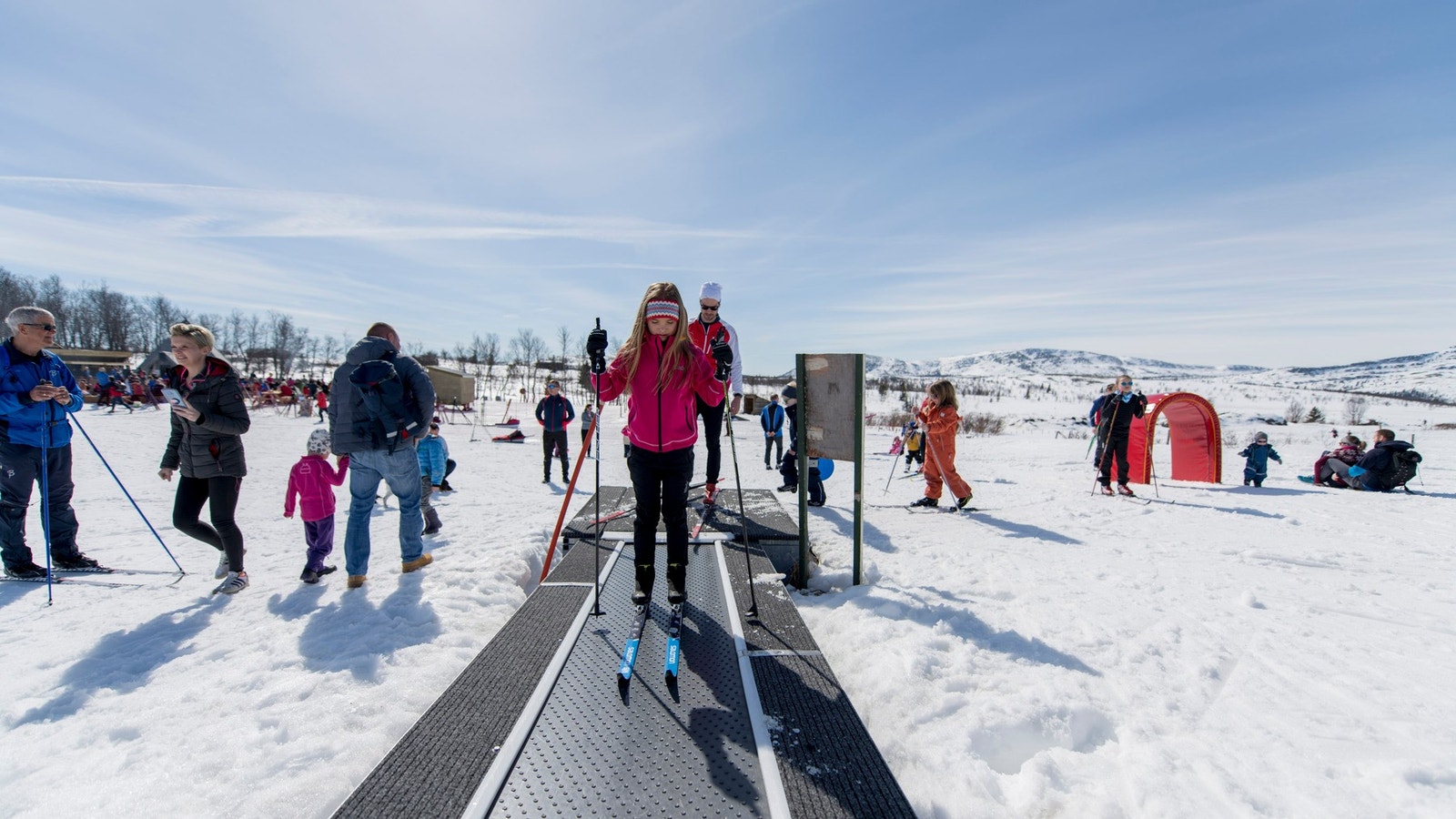 Fra Spidsbergseter Galleribilde