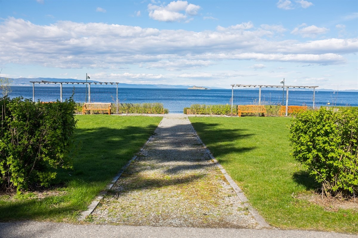 Nyt late dager i parken med fantastisk utsikt og bademuligheter. Galleribilde