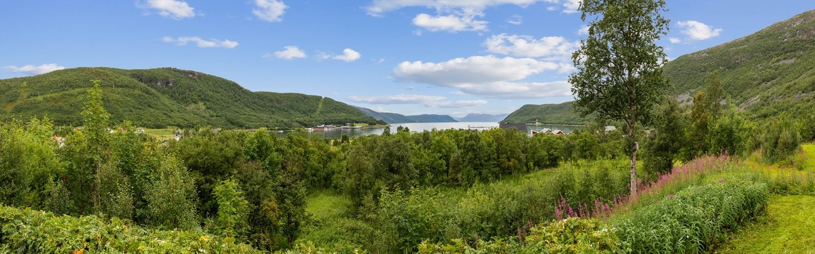 Store naturområder og mange muligheter for et aktivt friluftsliv. Galleribilde