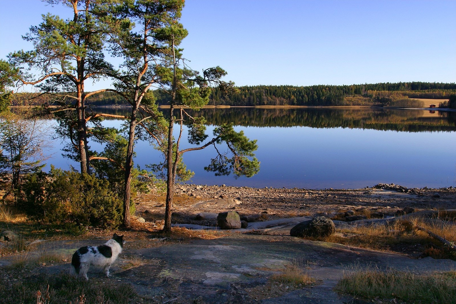 Nærområde Galleribilde