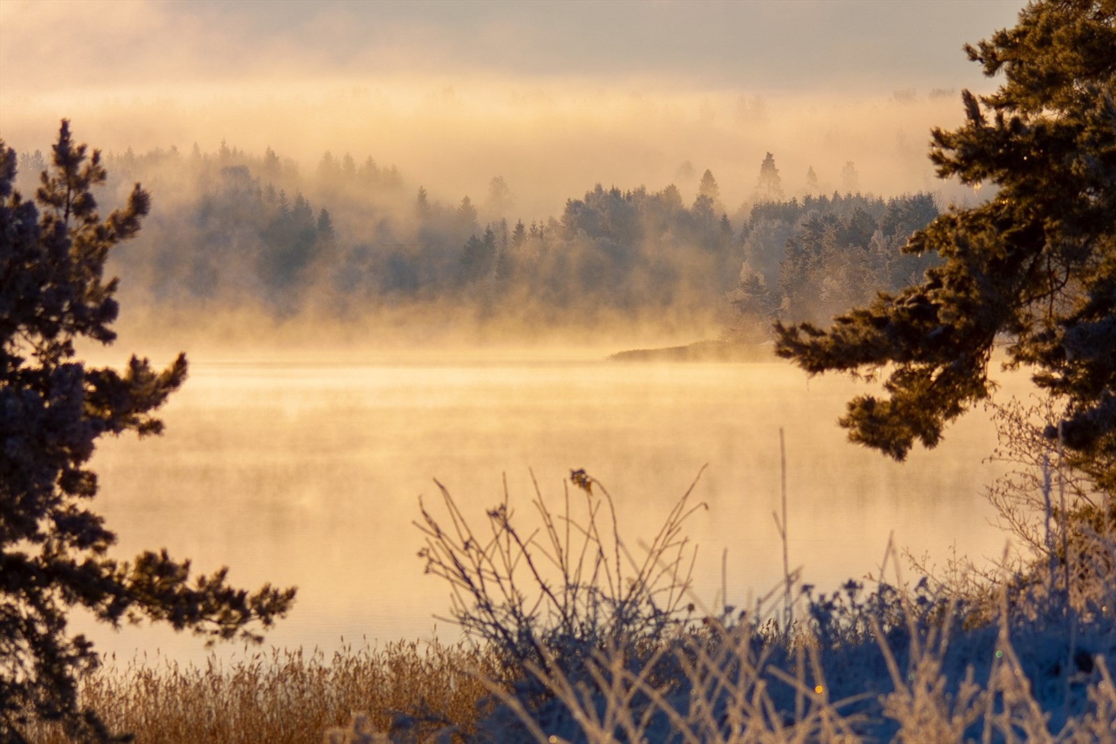 Nærområde Galleribilde