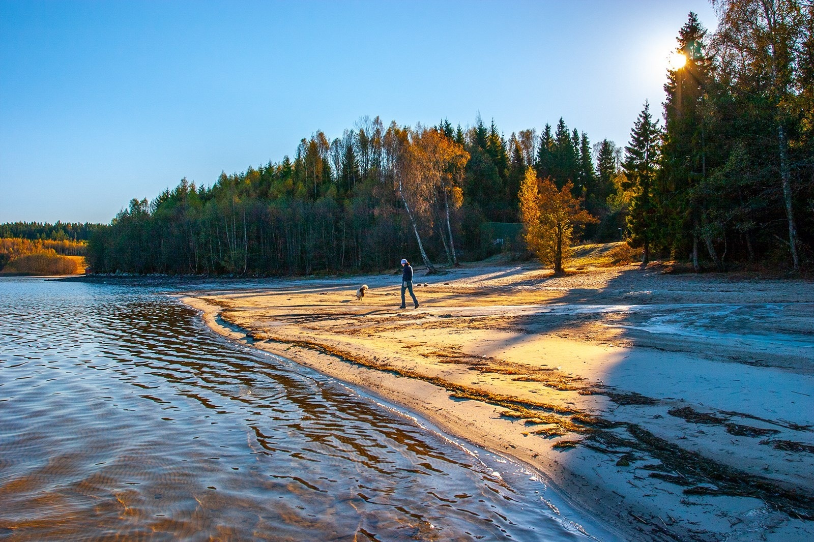 Nærområde Galleribilde