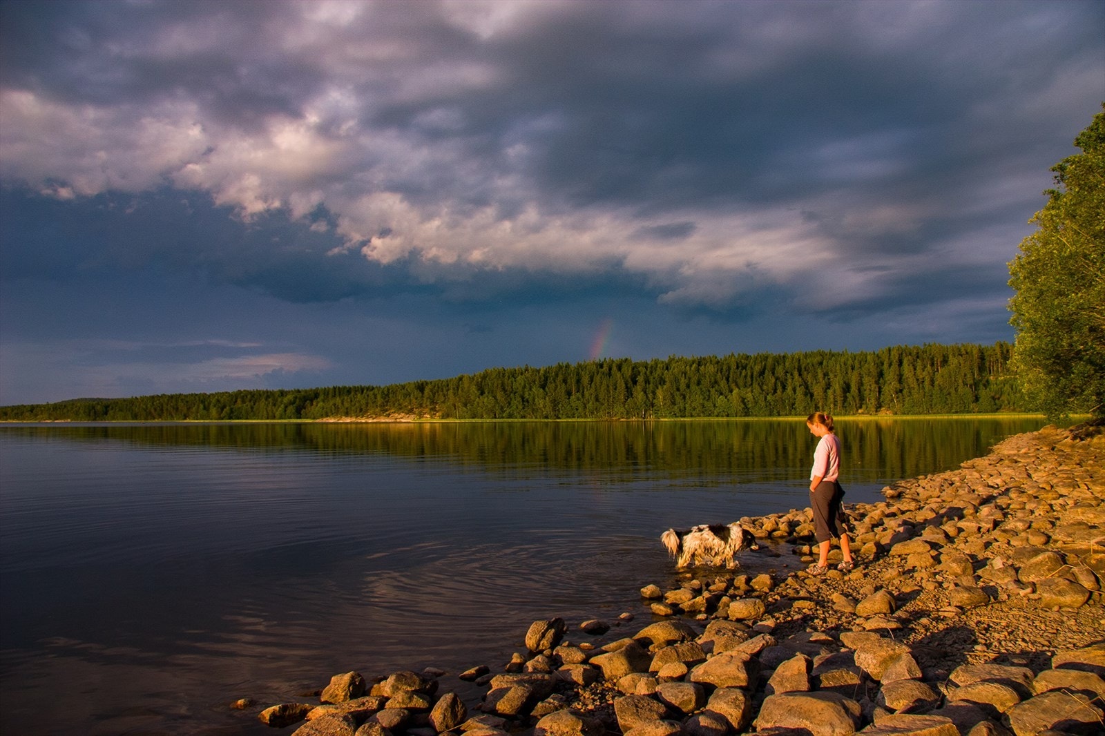Nærområde Galleribilde
