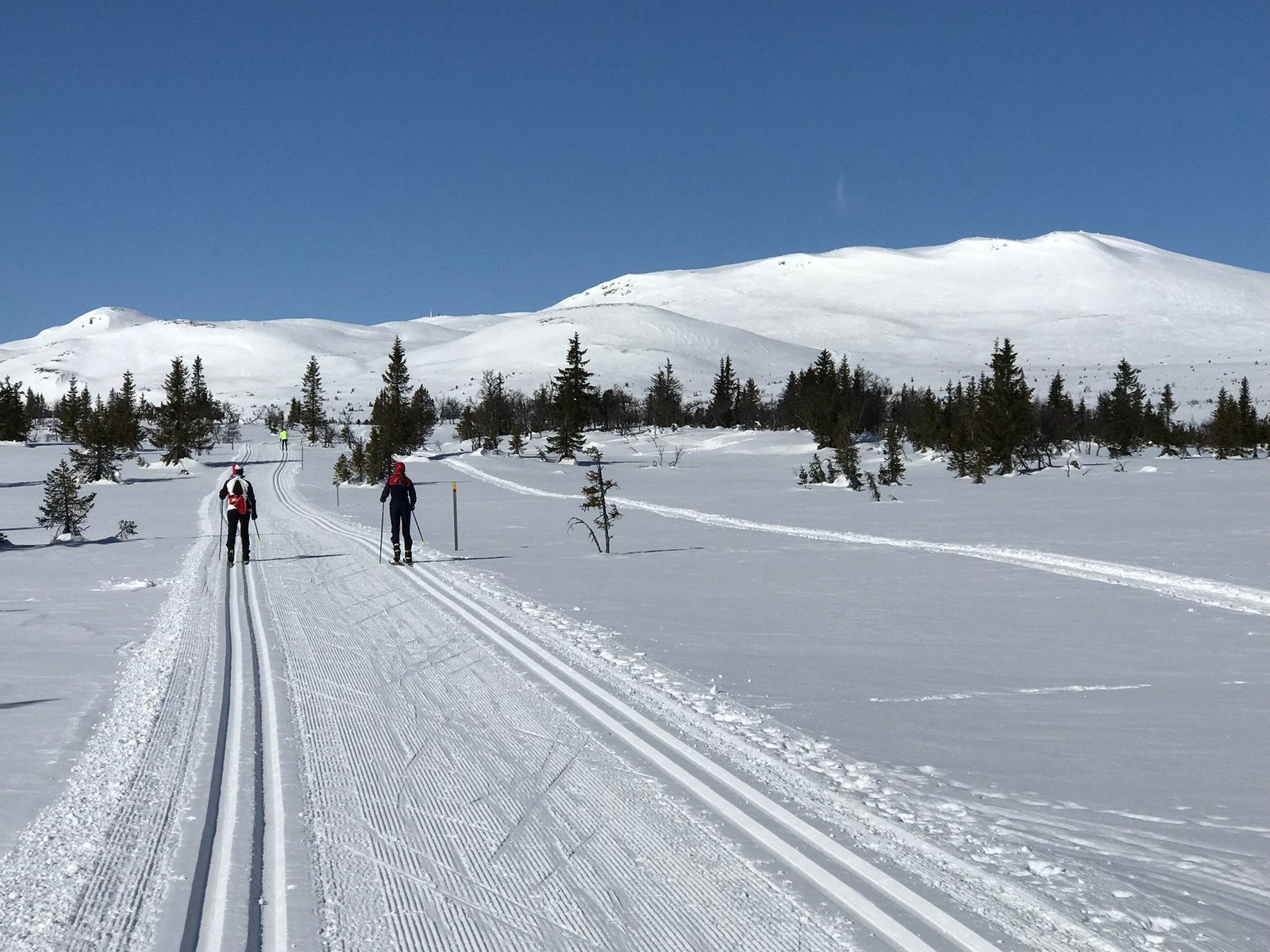 Påske -Høgkampen i bakgrunn. Galleribilde