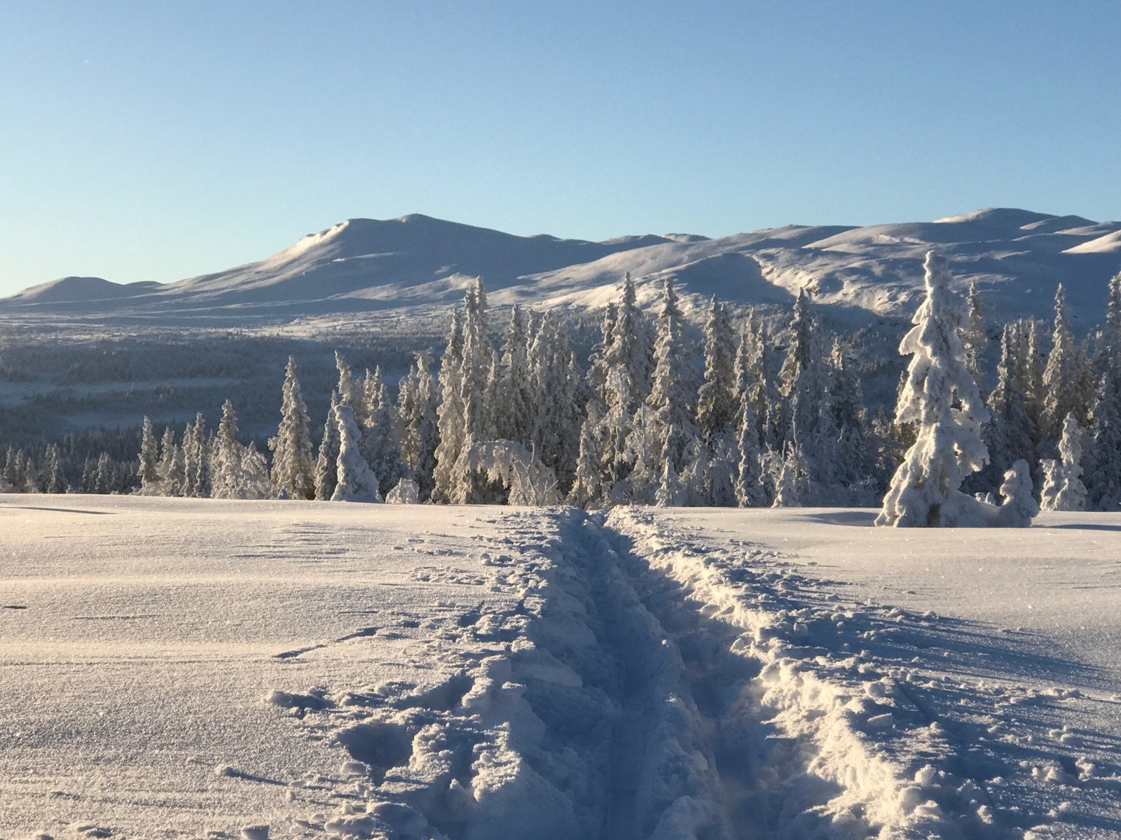 Synnfjell Galleribilde