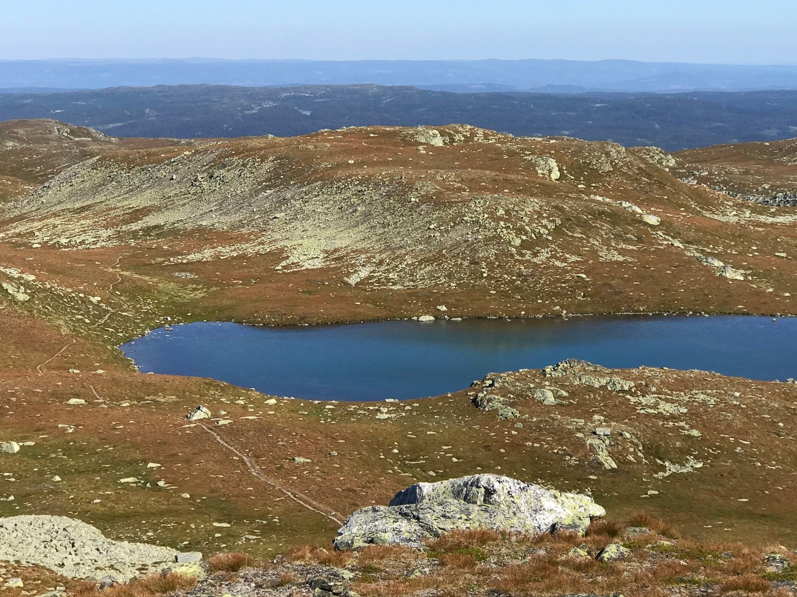 Synnfjell Galleribilde