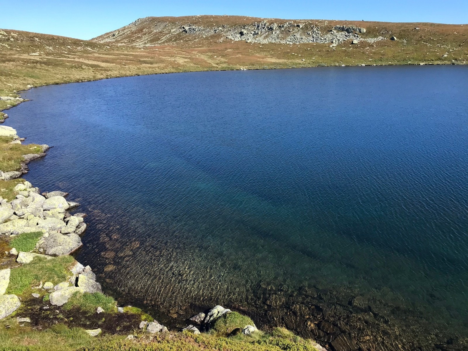 Synnfjell Galleribilde