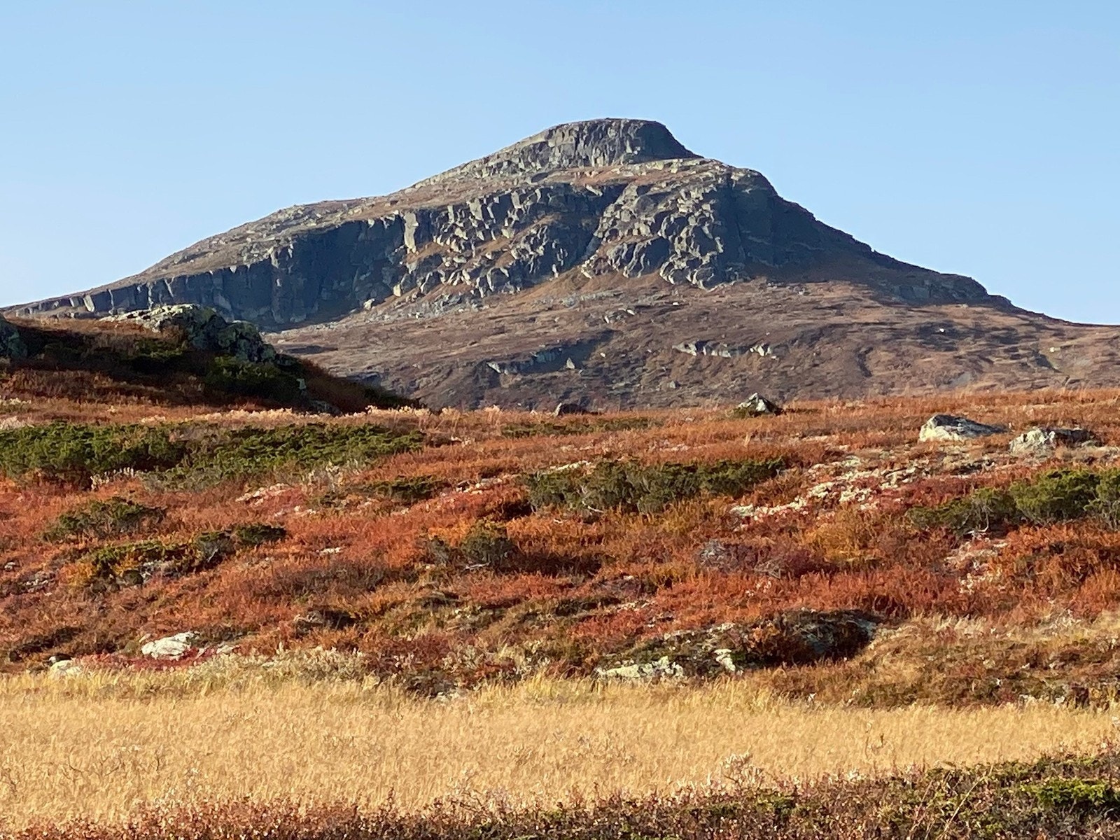 Nordre Langsua Galleribilde