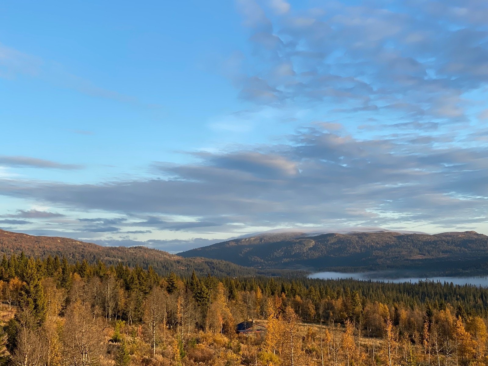 Skjervungsfjellet Galleribilde