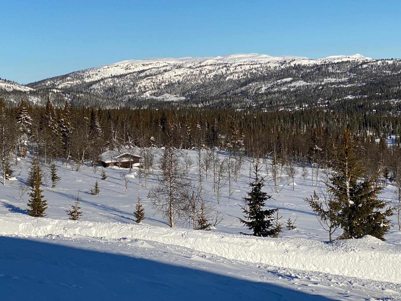 Utsikt fra stua mot Skjervungsfjellet. Galleribilde