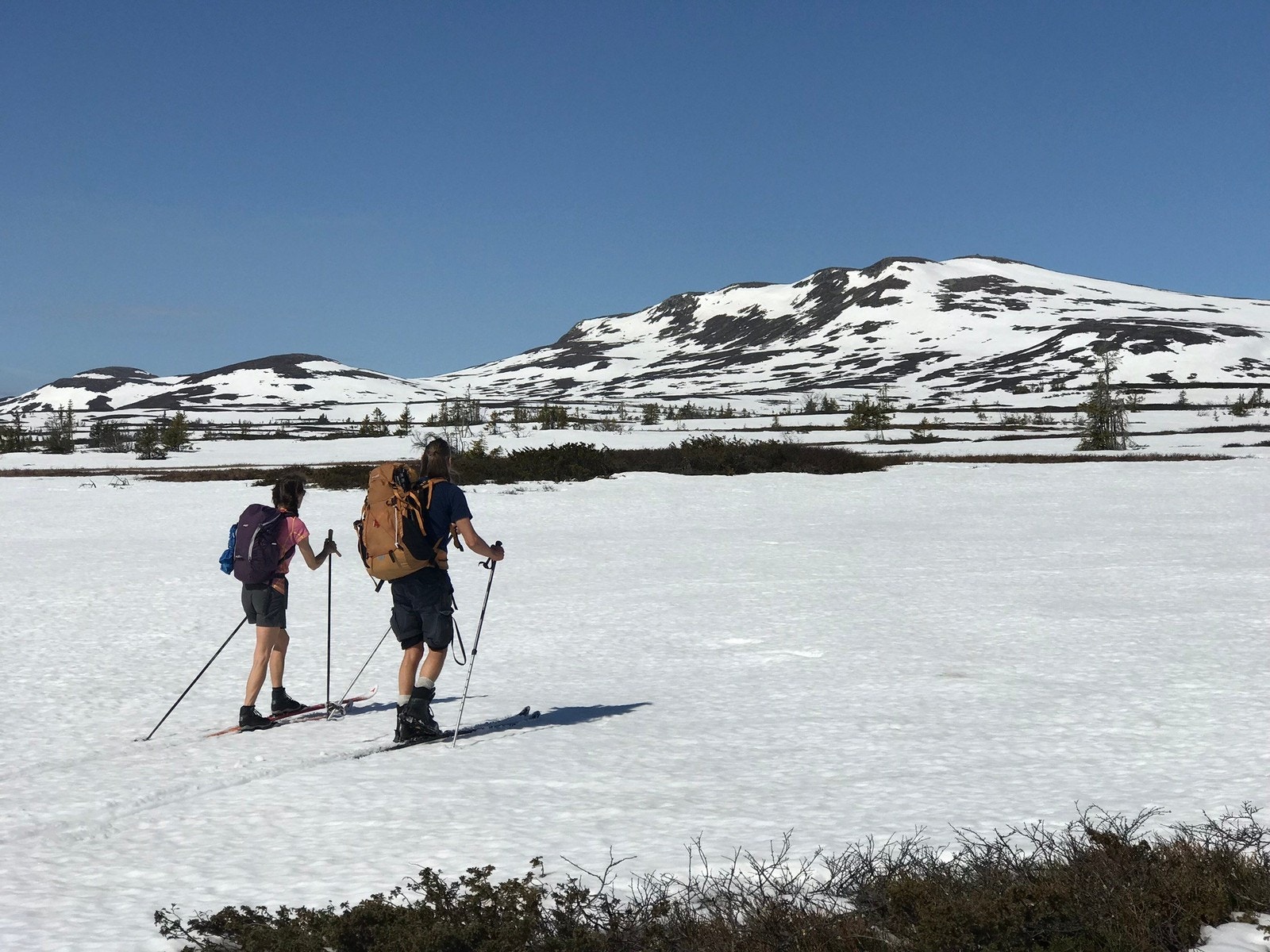 Vårskitur på Høgkampflæene. Galleribilde