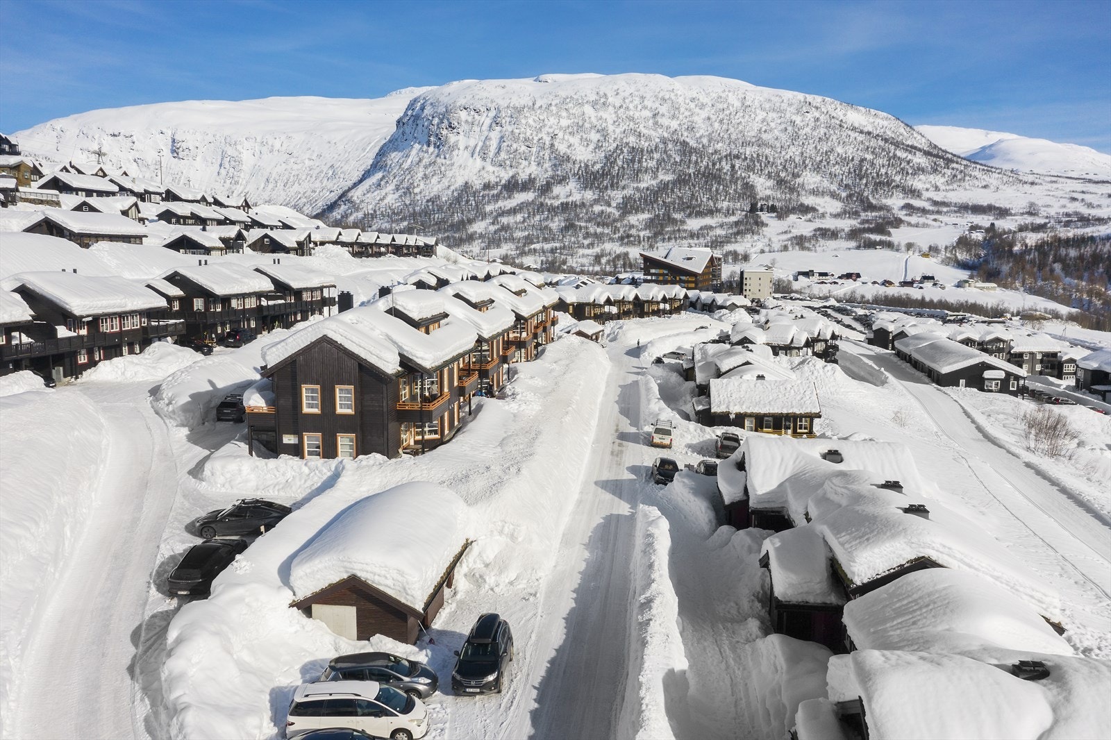 Omradebilde Galleribilde