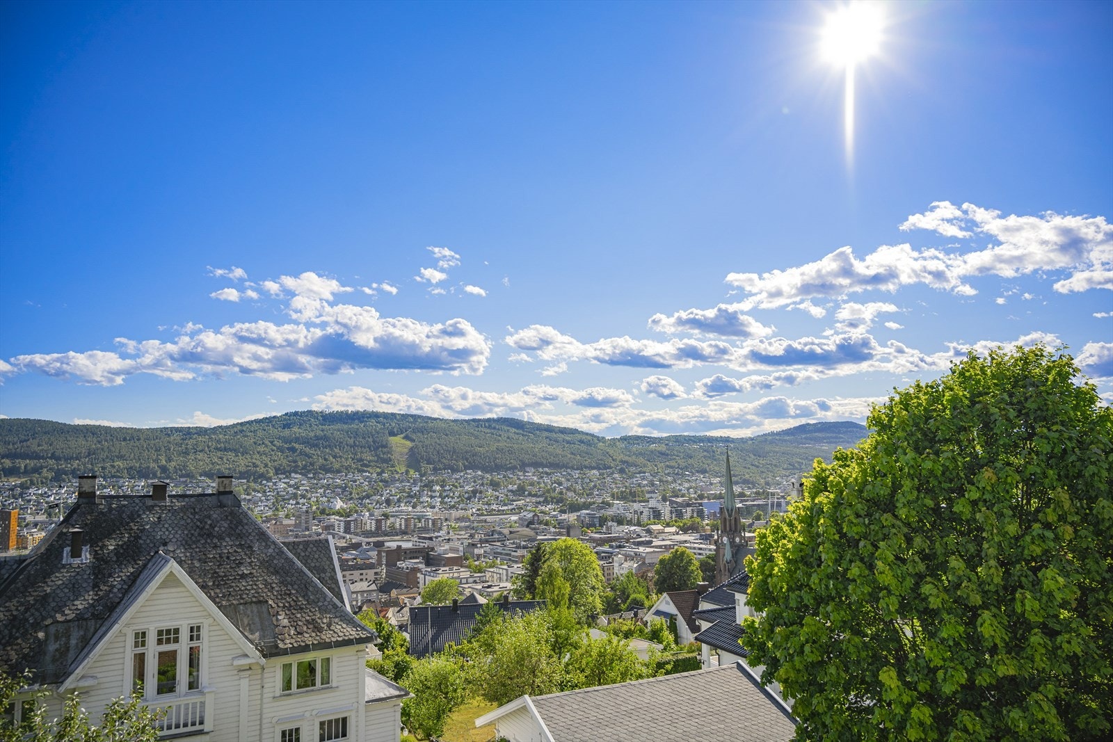 Utsikt. Galleribilde