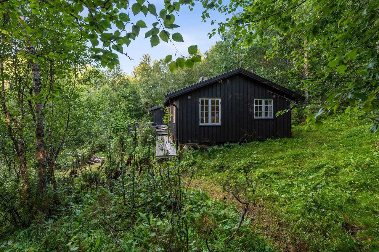 Hytta har umiddelbar nærhet til skog og mark. Oppkjørte skiløyper under 1 km fra eiendommen på vinterstid. Galleribilde