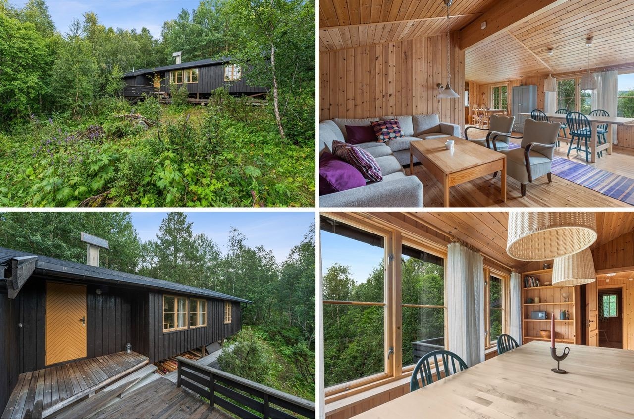 Plassæterveien 225 Galleribilde