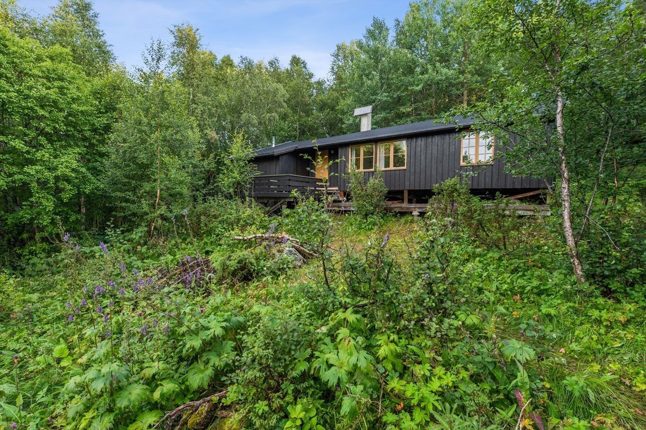 Velkommen til Plassæterveien 225! Hytte med usjenert beliggenhet og umiddelbar nærhet til flotte turområder. Galleribilde