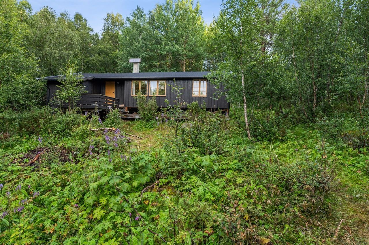 Tomten består av stedets vegetasjon Galleribilde