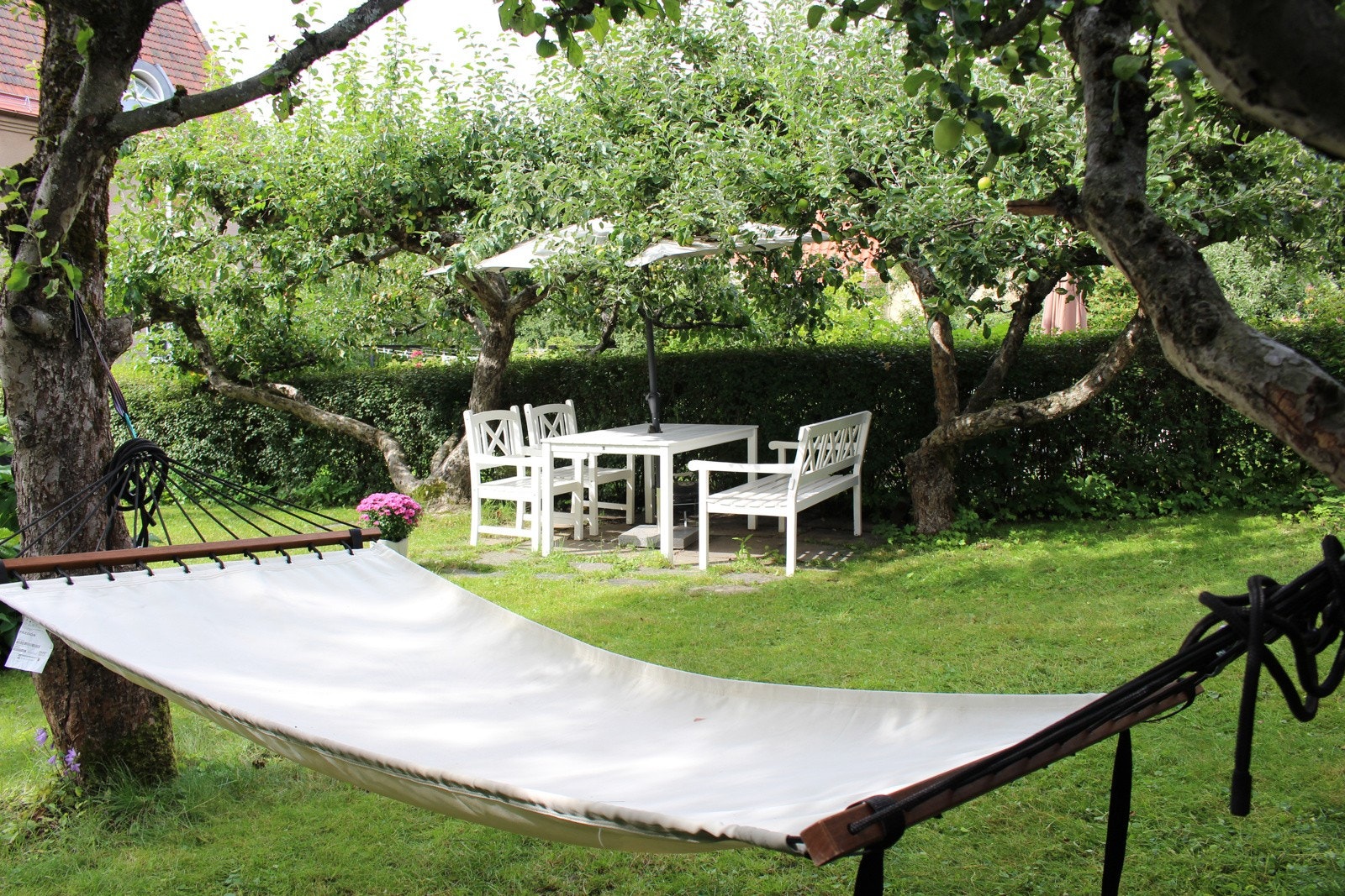 Solfylt hage der de ulike sonene gir glede til små og store Galleribilde