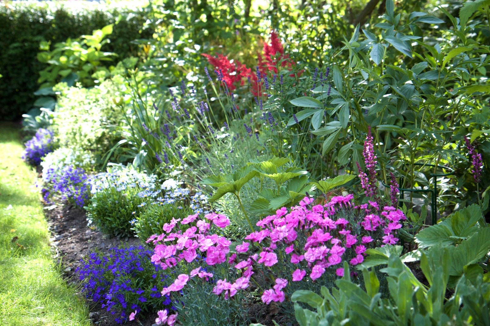 Detaljer | Hage. Galleribilde