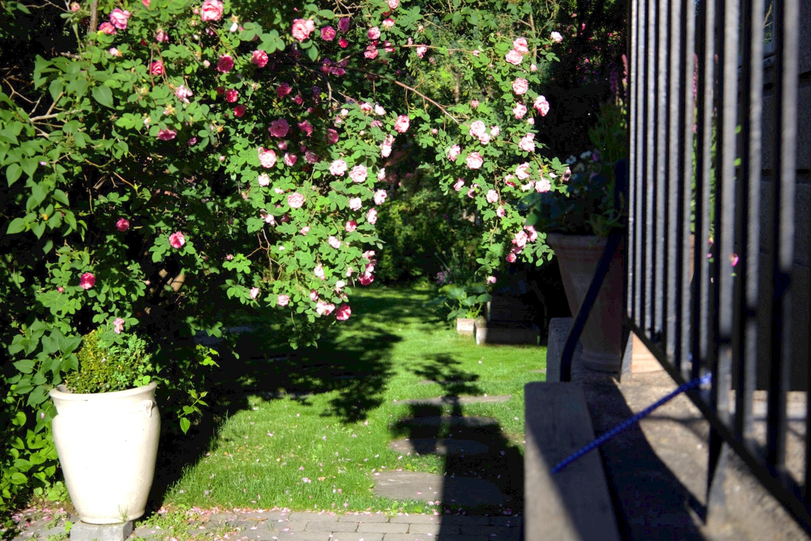 Detaljer | Hage. Galleribilde