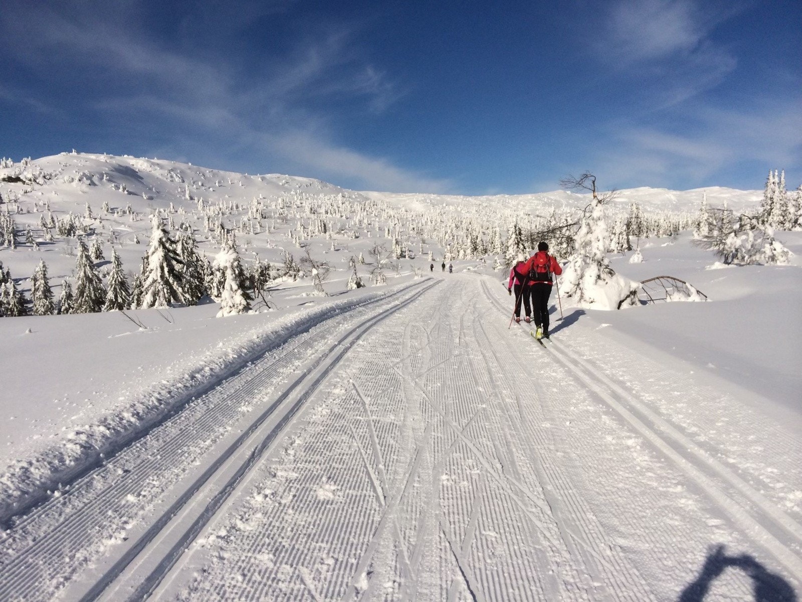 Bilde fra selgers arkiver. Det er milevis med preparerte skiløyper på Skeikampen Galleribilde