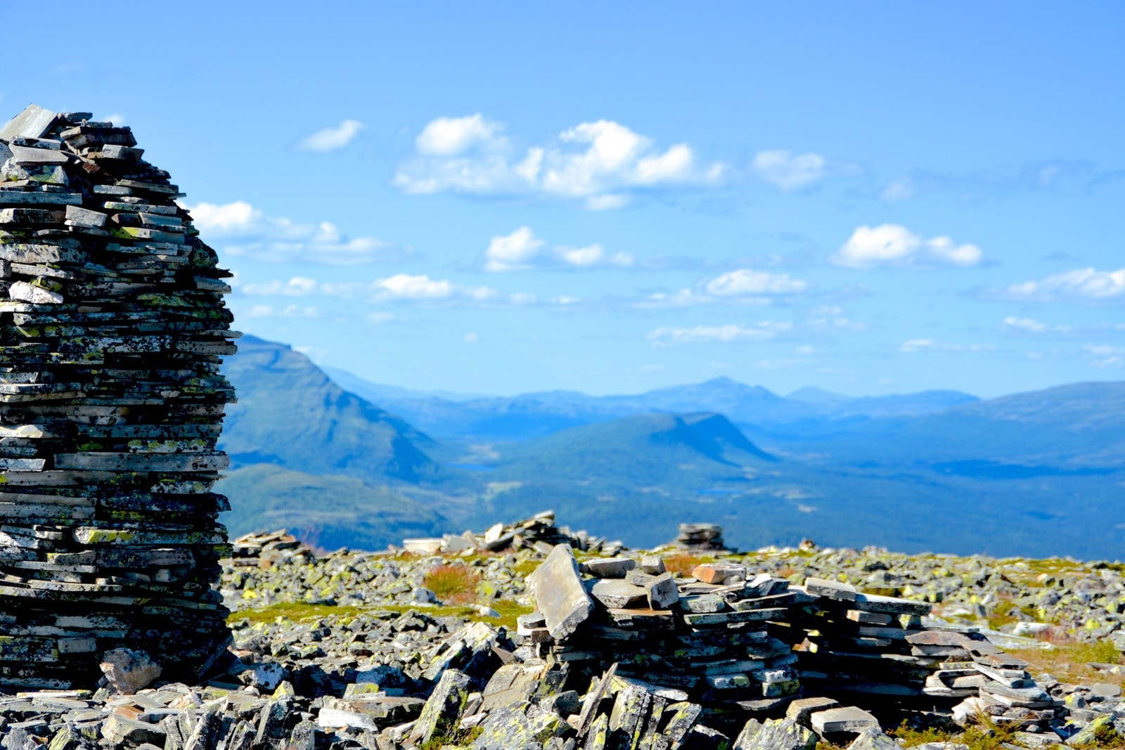 Fra toppen av Muen Galleribilde