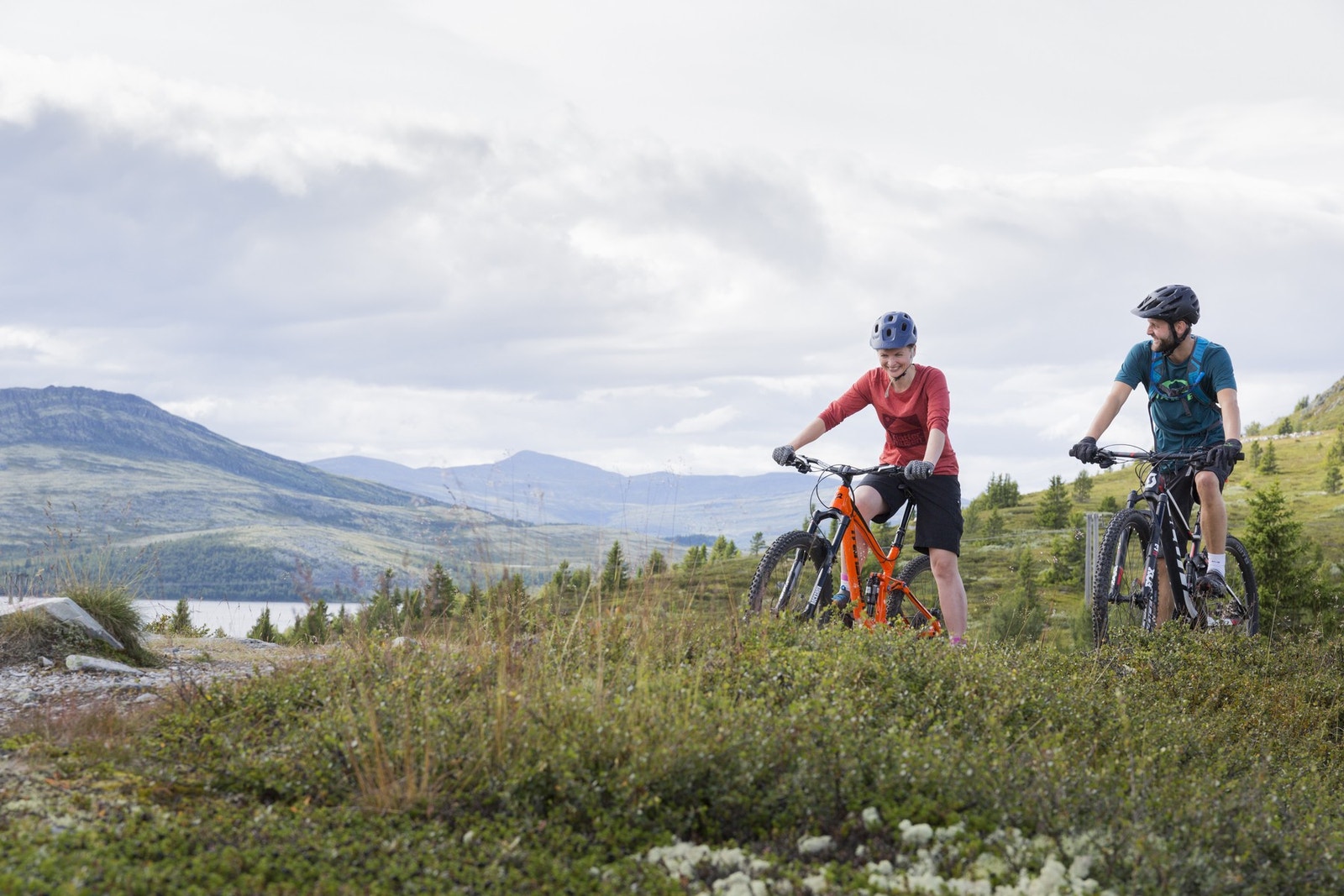 Det finnes mange sykkelstier på Venabygdsfjellet Galleribilde