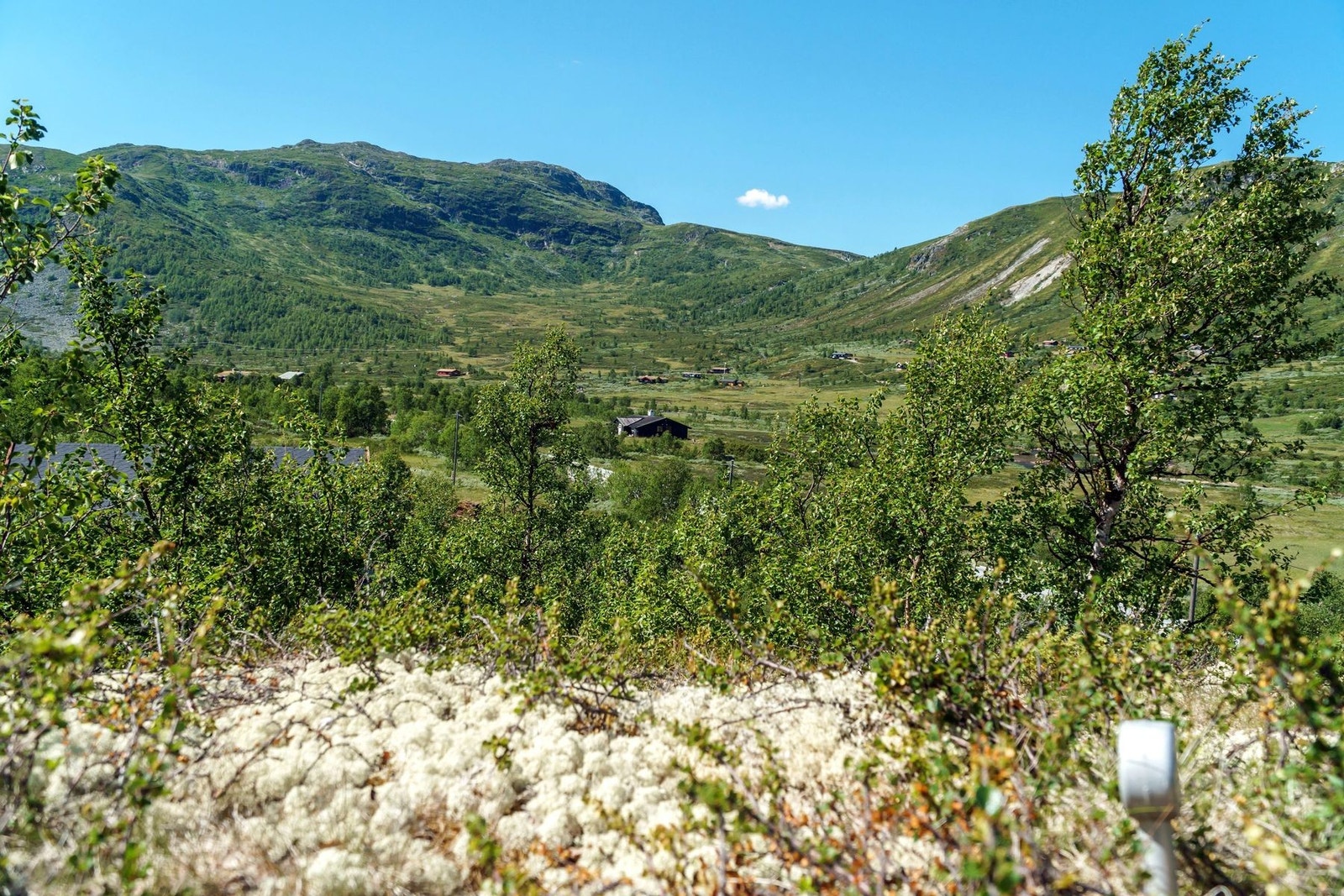 Flott beliggenhet fra tomtemarkeringen. Galleribilde