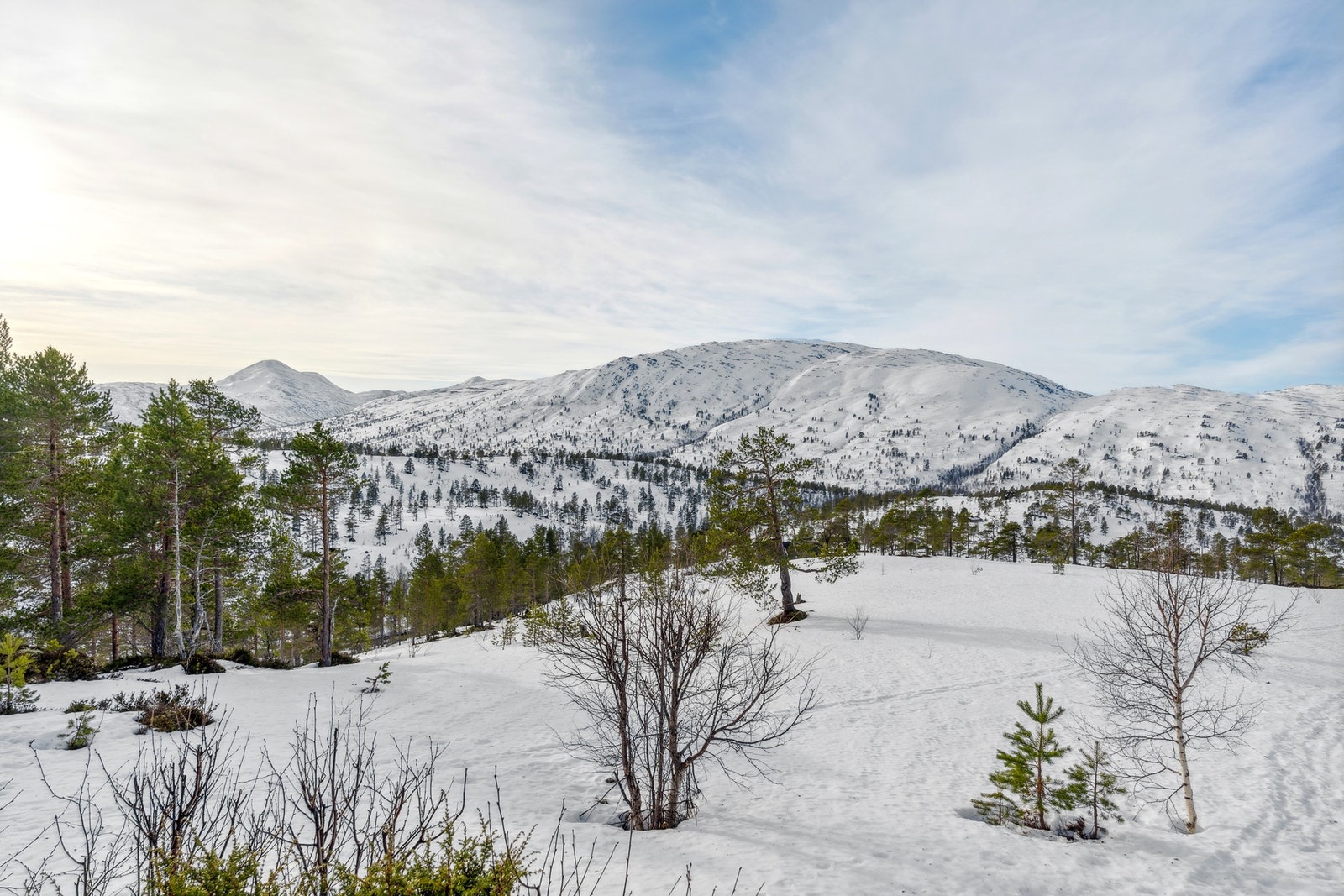 Fin beliggenhet i Trollheimen med fantastisk utsikt! Galleribilde