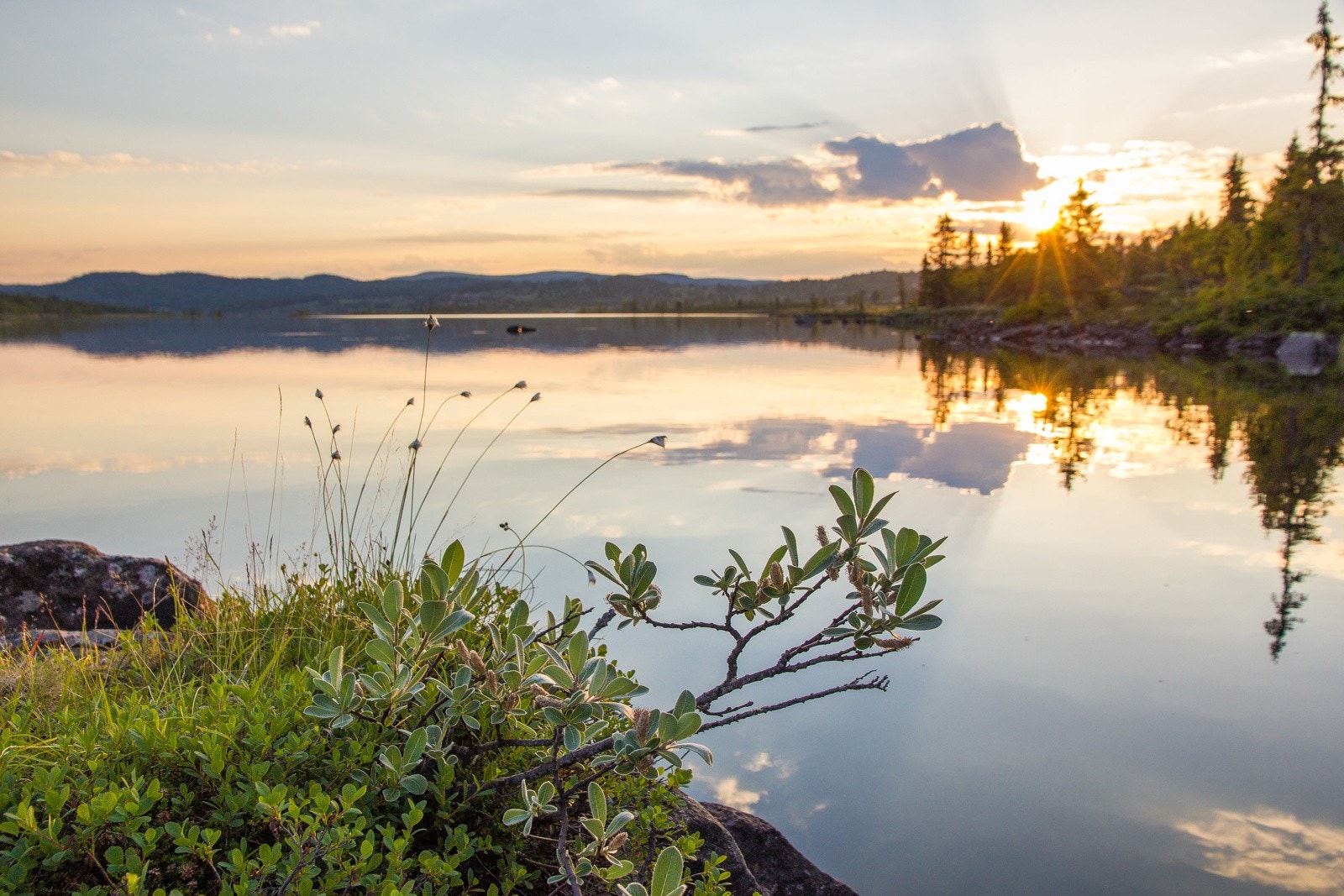 Flere bade- og fiskevann på snaufjellet Galleribilde