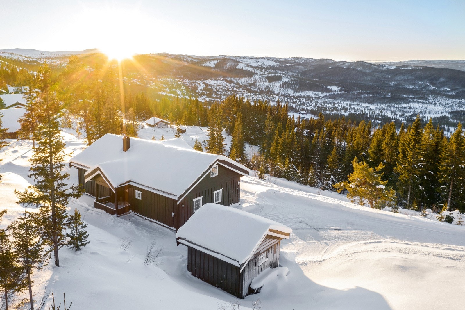 Syninglie 12 presentert av Marte H. Asker-Ullnæss Galleribilde