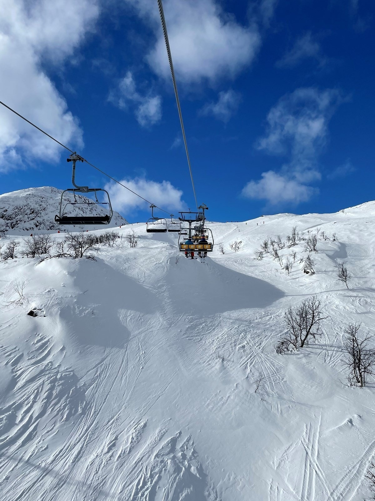 Roniheisen. Galleribilde