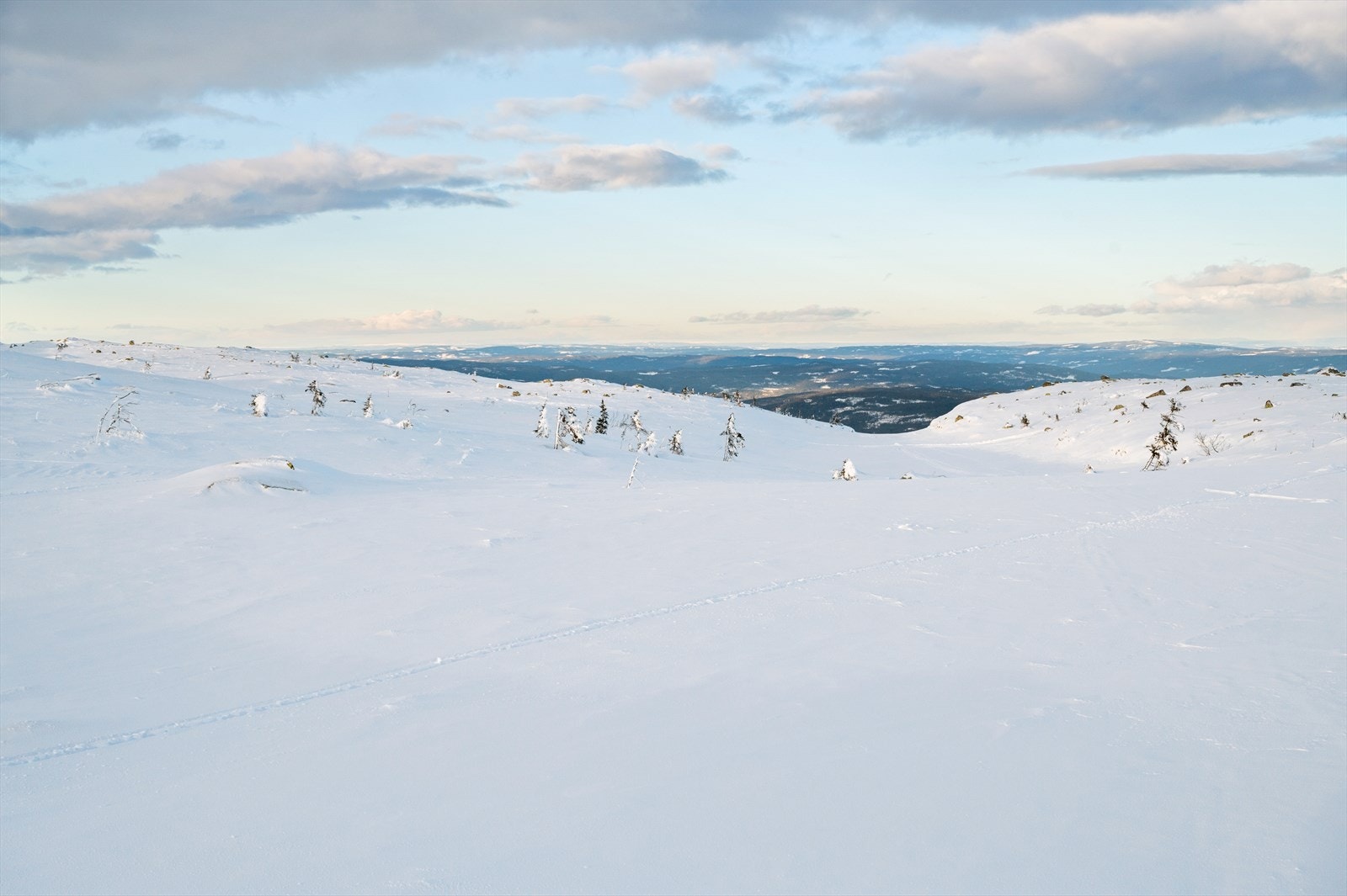 Flere_bilder Galleribilde