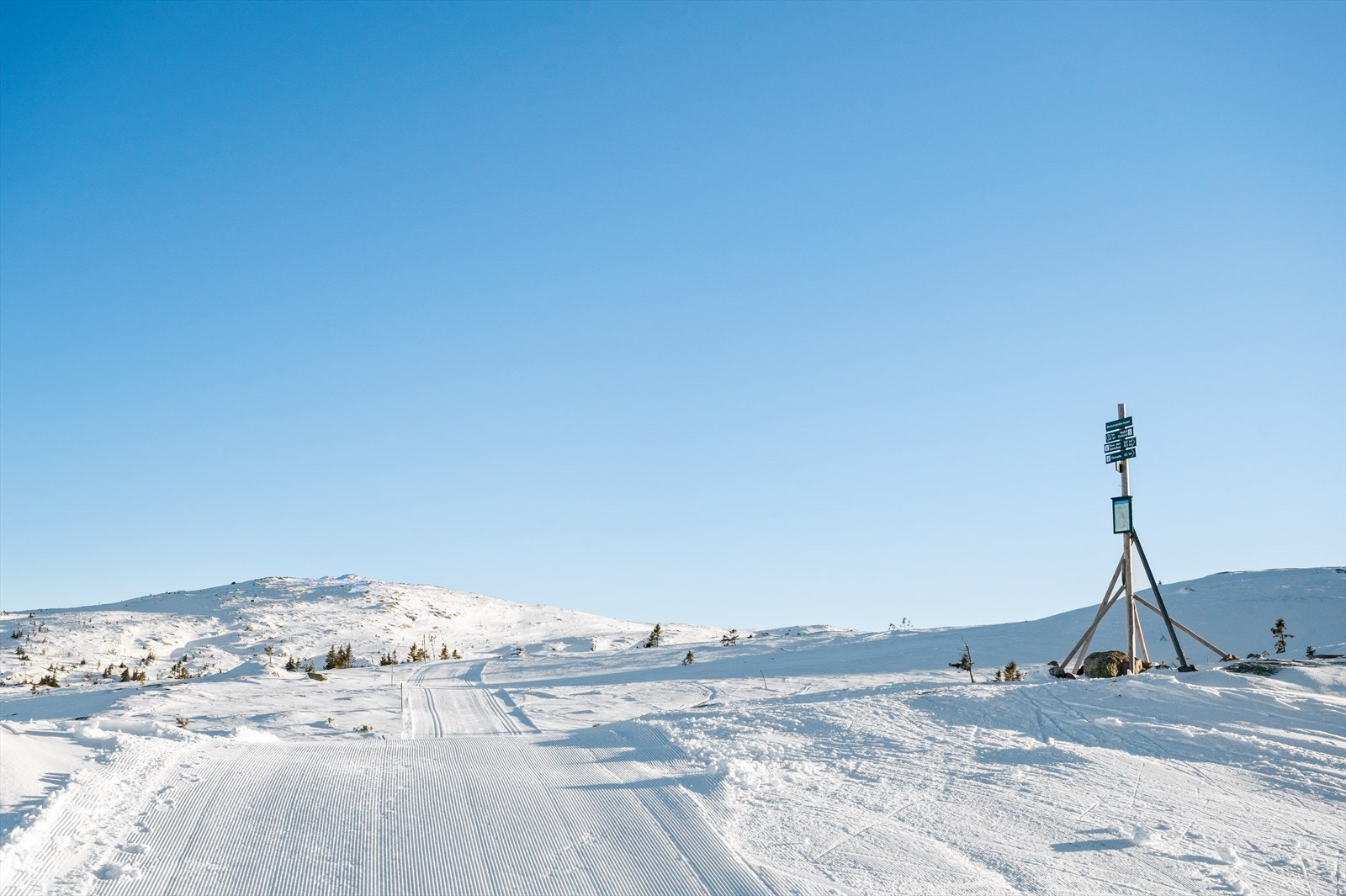 Flere_bilder Galleribilde