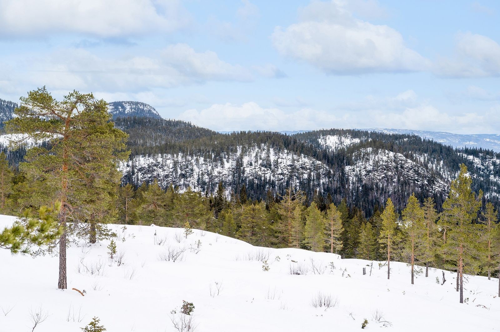 5_flere_bilder_5.jpg Galleribilde